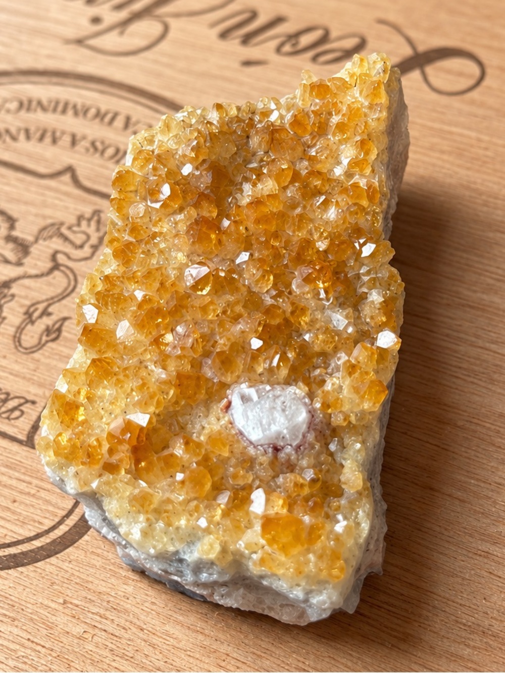 Raw Natural Citrine Quartz Crystal Cluster 3”